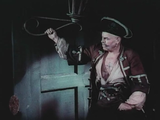 The Black Pirate (1926) Action, Adventure (DVD) - tripdiscs.com