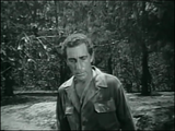 Battle of Blood Island (1960) Drama, War (DVD)