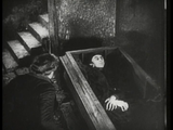 Nosferatu - The Original Cut (1922) Fantasy, Horror (DVD) Visually Enhanced