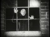 Nosferatu - The Original Cut (1922) Fantasy, Horror (DVD) Visually Enhanced