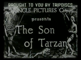 The Son of Tarzan (1920) Action, Adventure (2 x DVD)