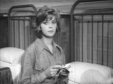 Werewolf in a Girls' Dormitory (1961) Horror, Mystery (DVD)